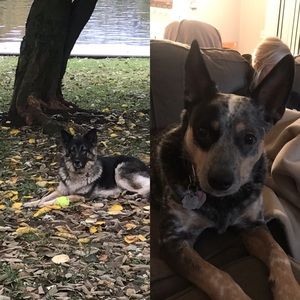 Meet your Posher, Kenny